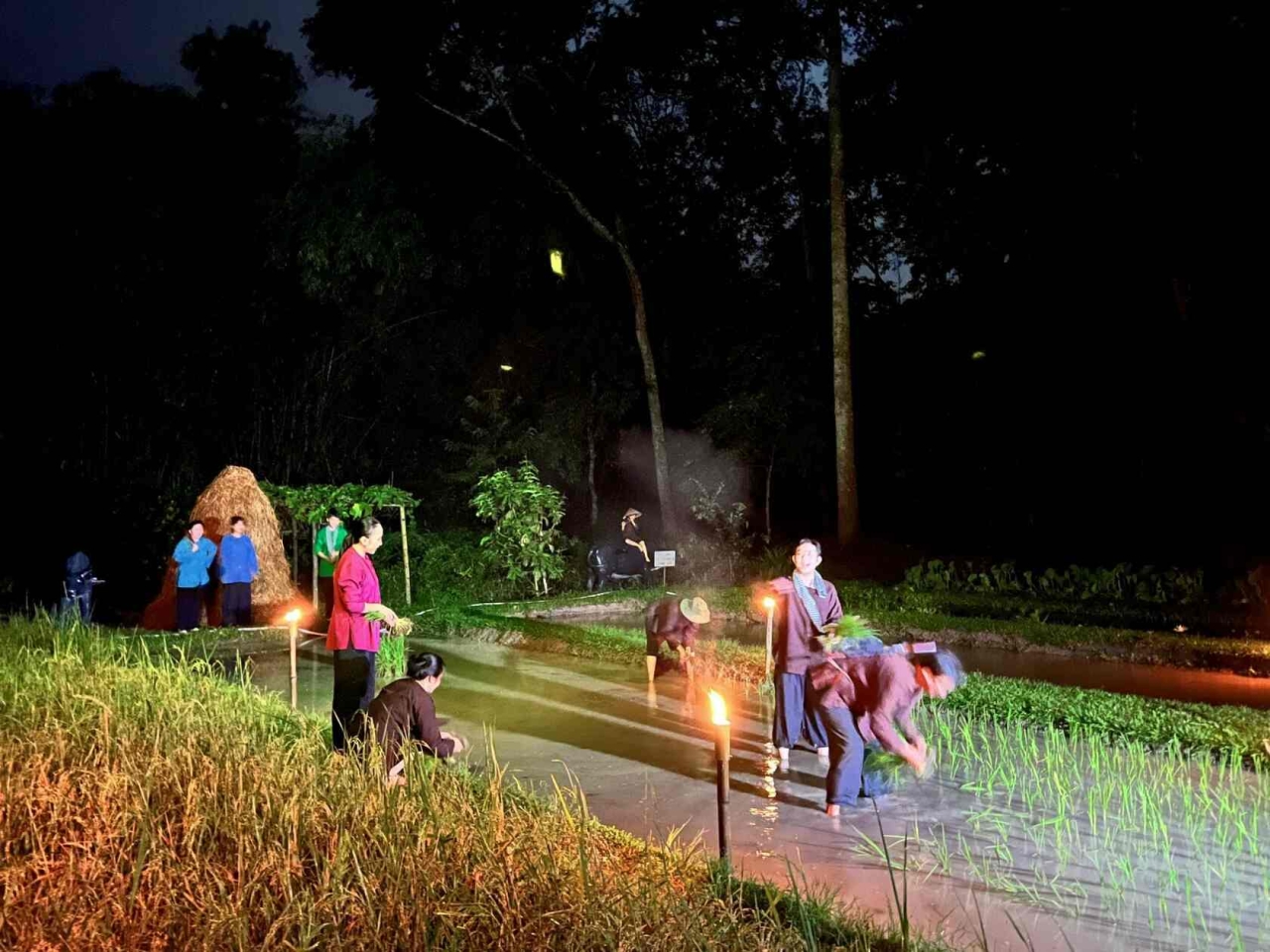 Cu Chi Tunnels tour: an exciting historical discovery journey 9 rustic lifestyle of the locals at Cu Chi Tunnels